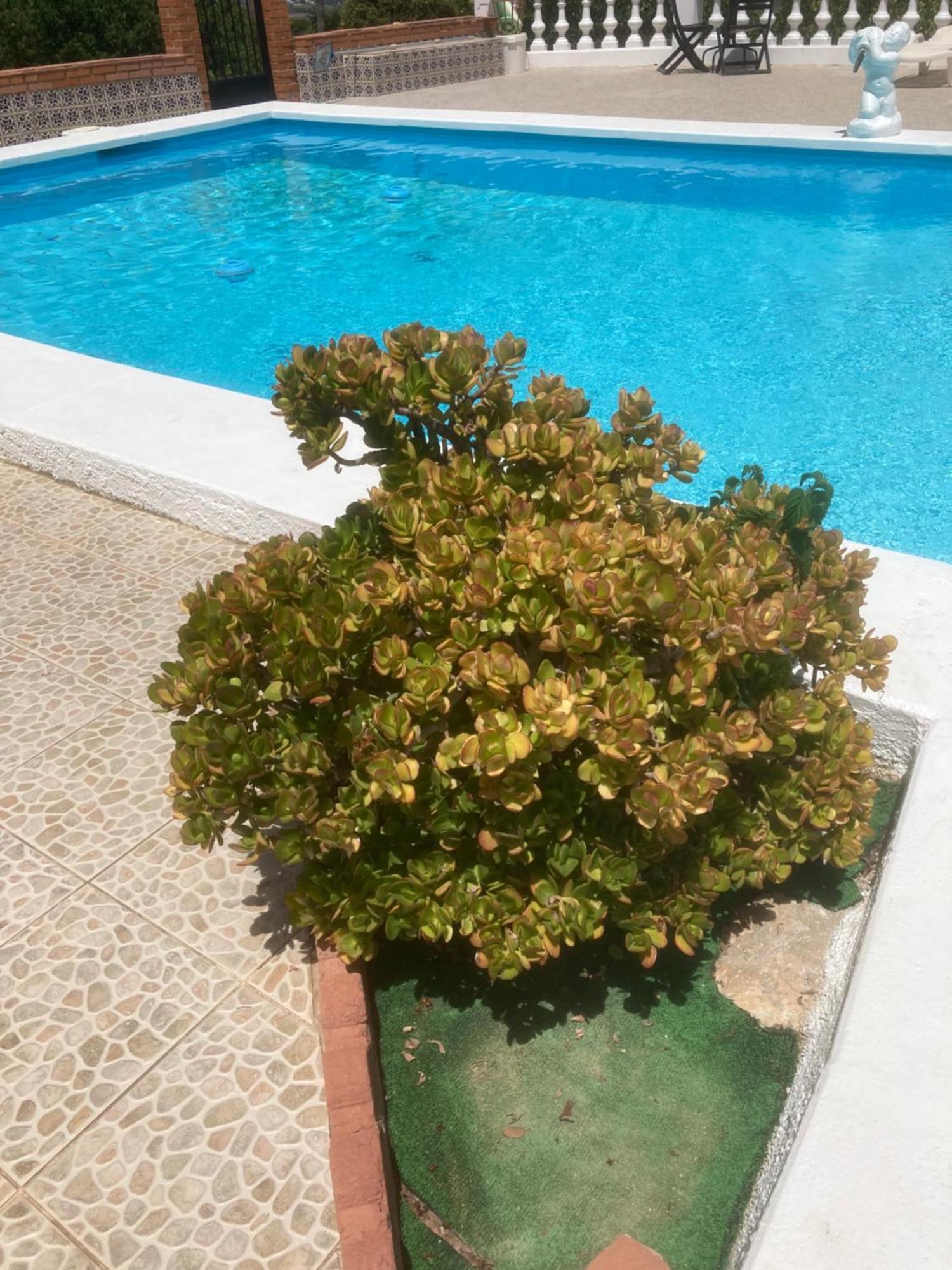 Vakantieverblijf Villa Kluever Alhaurín de la Torre Exteriör bild
